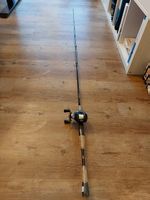 Daiwa Jerkbait-Rute & Quantum Baitcastrolle