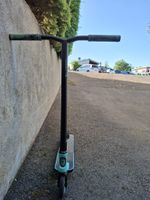 Scoter