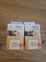 2x LED GU10 3W 250lm 3000K wie neu