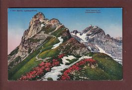 SÄNTIS - Lysengratweg