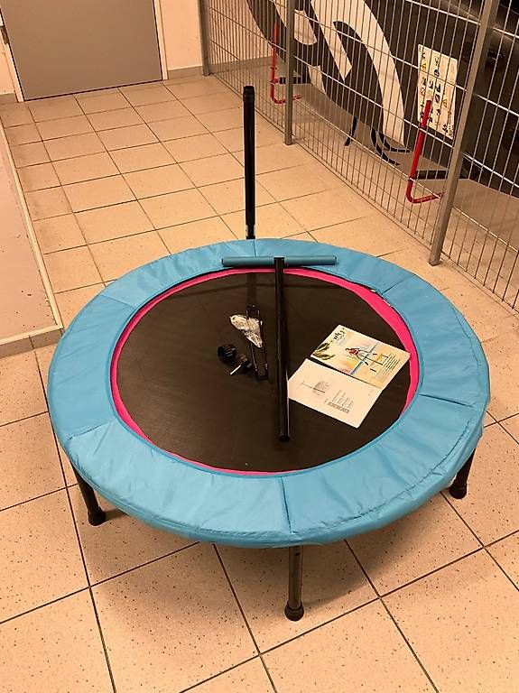 Trampolini: Fitness- Trampolin – Usato da Ibach venduto da Enko26 1