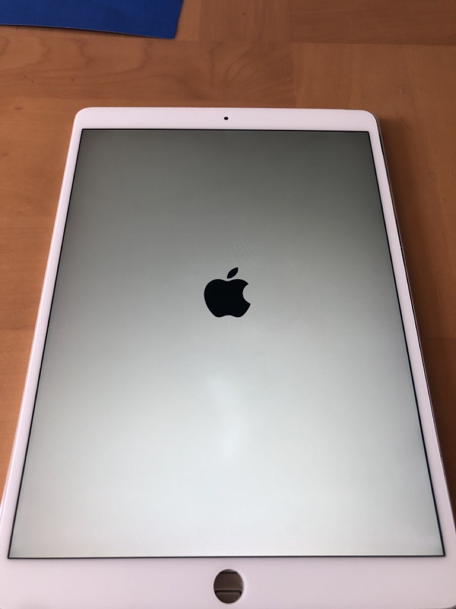 Apple Tablettes PC: Display iPad Pro 10.5 zoll – D'occasion à Bremgarten AG par