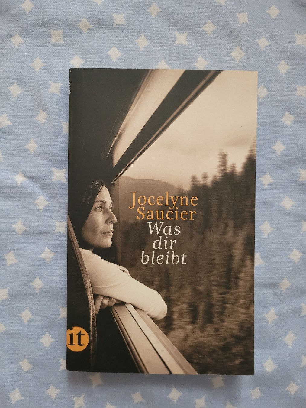 Libri: Jocelyne Saucier "Was dir bleibt" – Usato da Perlen venduto da Safari_23