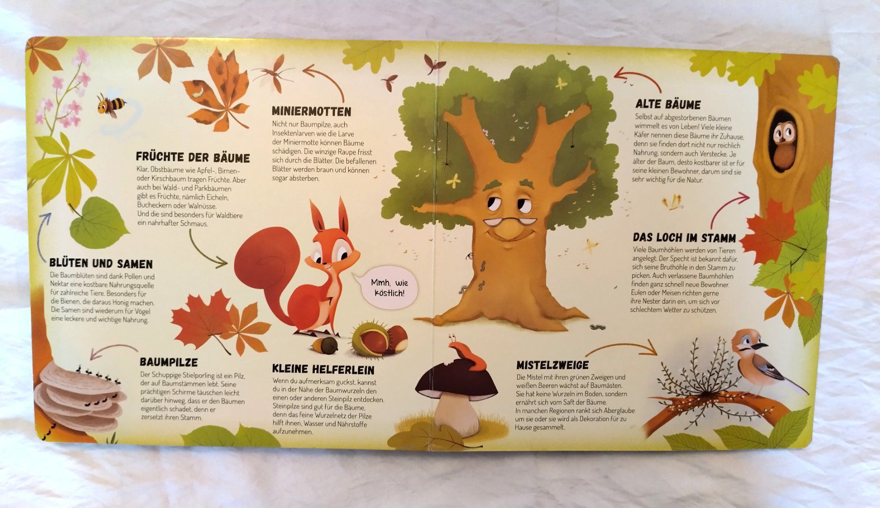 Bücher: Der Baum / Fensterpappenbuch ab Fr. 8.- – Gebraucht aus Bellach von JingleJerry 4