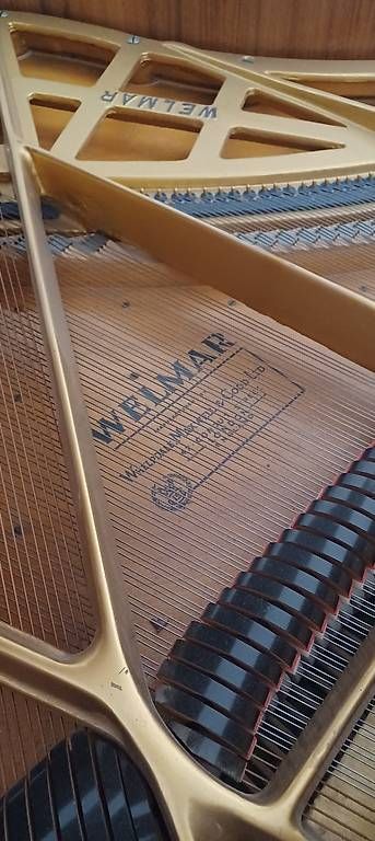 Strumenti musicali: Flügel(klein) – Usato da Biel-Benken BL venduto da Live010 1
