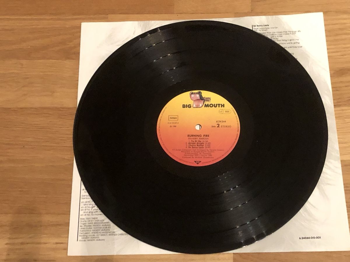 Schallplatten: Hanery Amman. 1980. burning fire – Gebraucht aus Faulensee von Mizuno06 5