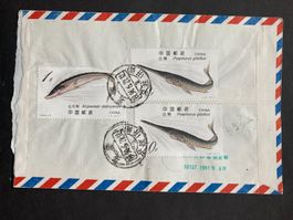 China 1994 Luftpostbrief Lot Störe nach D