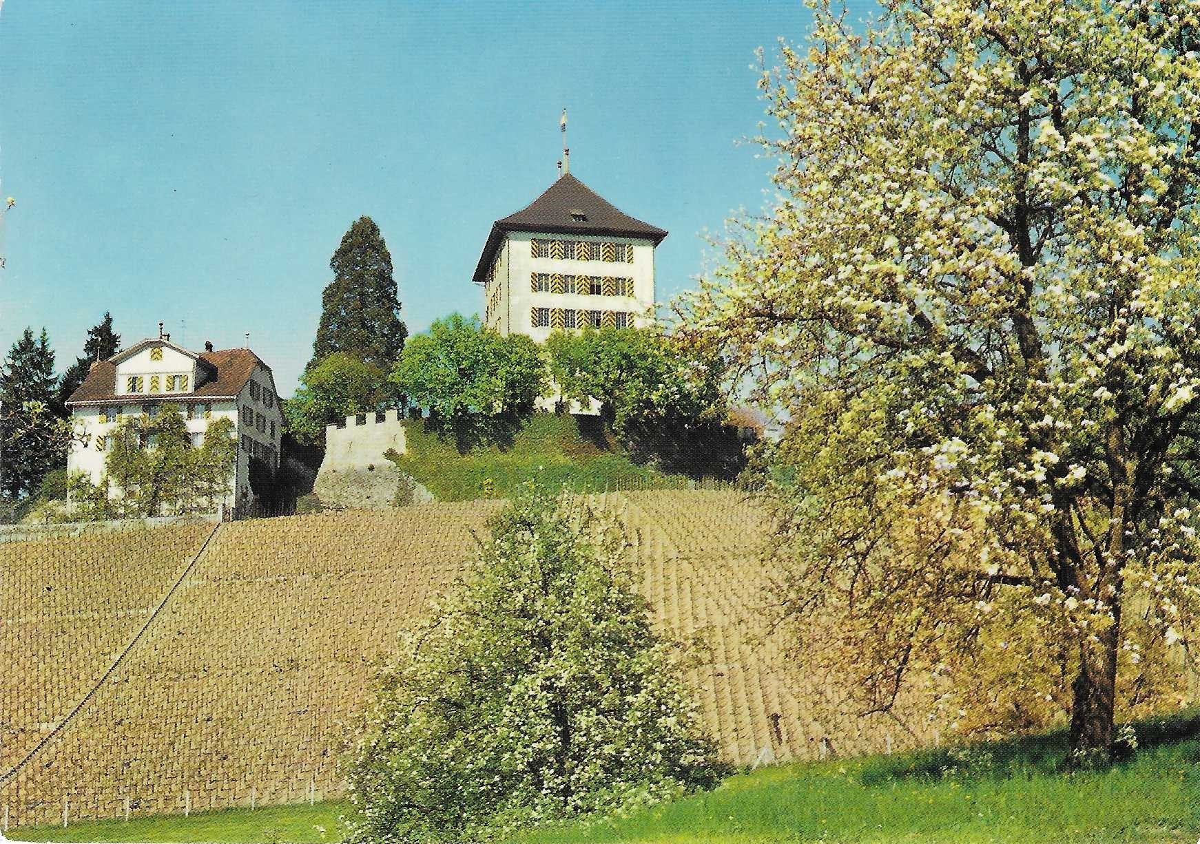 Cartoline postali: Schloss Heidegg Gelfingen LU – Nuovo (secondo la descrizione) da Rothrist venduto da Stranglehold