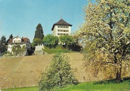 Schloss Heidegg Gelfingen LU