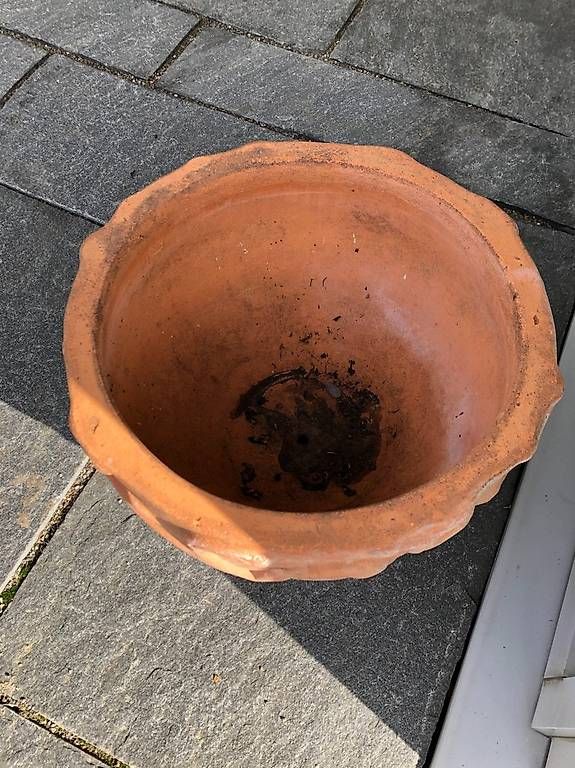 Vasi per fiori: Wunderschöner, grosser Terracotta-Pflanztopf – Usato da Dällikon venduto da Spili20 3