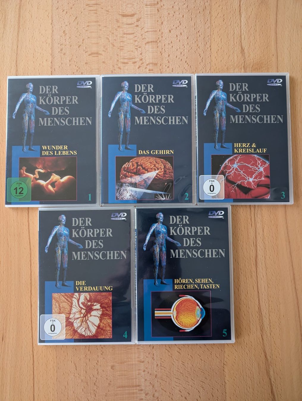 Tutti i DVDs: Der Körper des Menschen - Set mit 10 DVD's – Nuovo (secondo la descrizione) da Lupfig venduto da martin-stolz 2