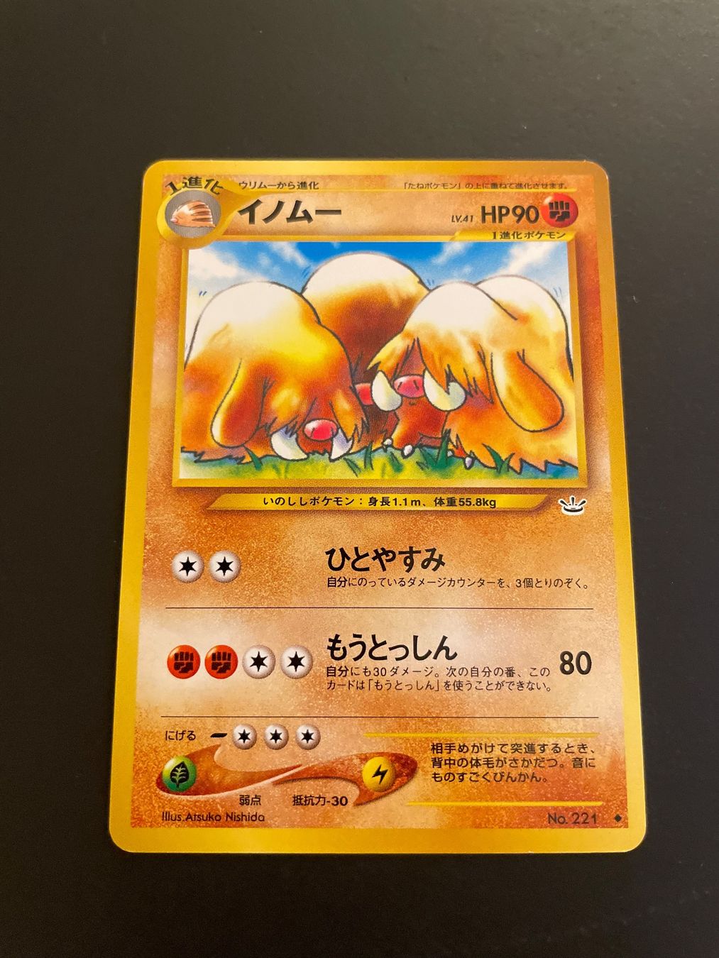 Pokémon Carte collezionabili: Piloswine No.221 Neo Revelation – Usato da Zürich venduto da pokemon_cards