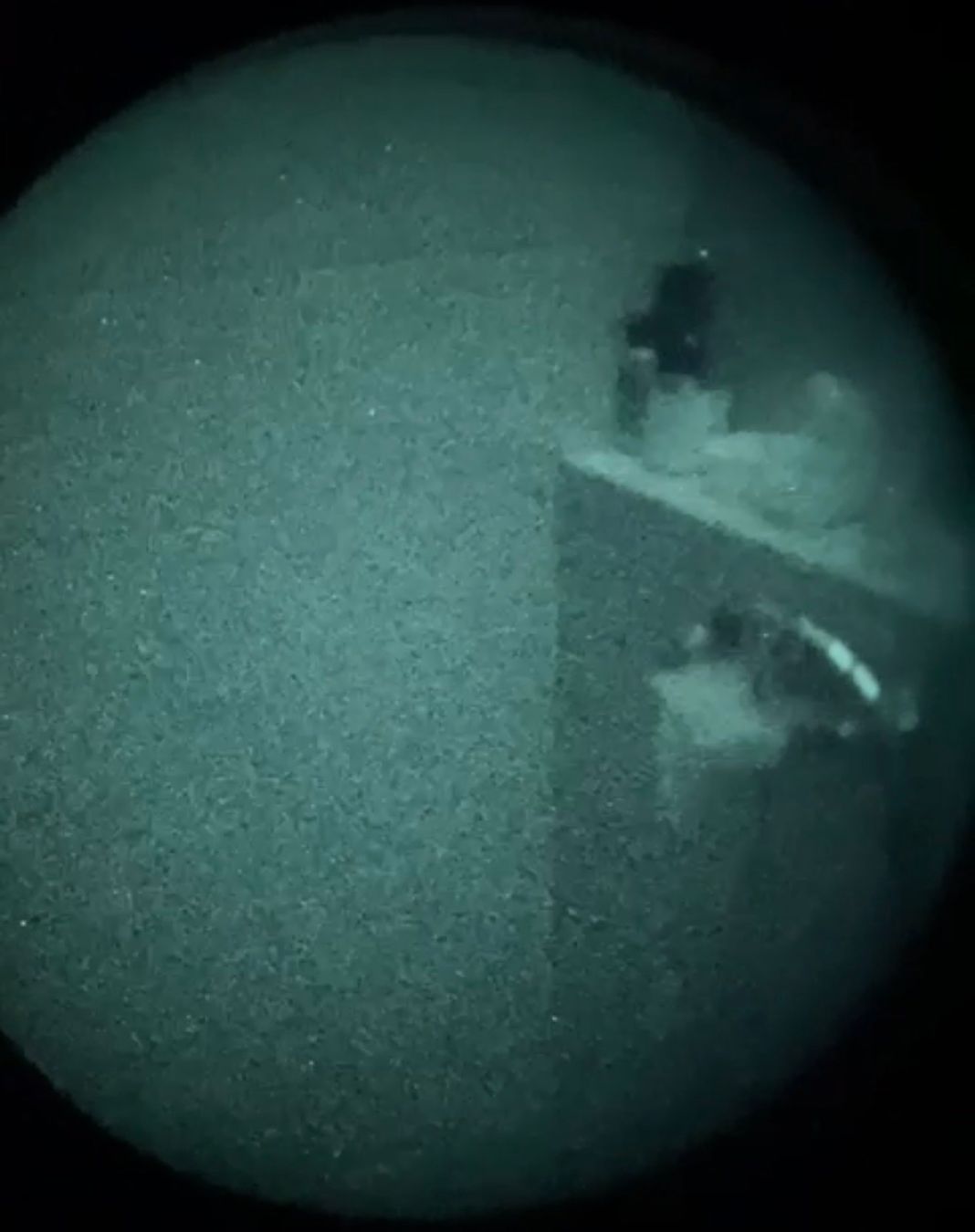 Binocoli: NVG / Nachtsichtgerät Theon NX-122C – Usato da Brent venduto da mininarko 6