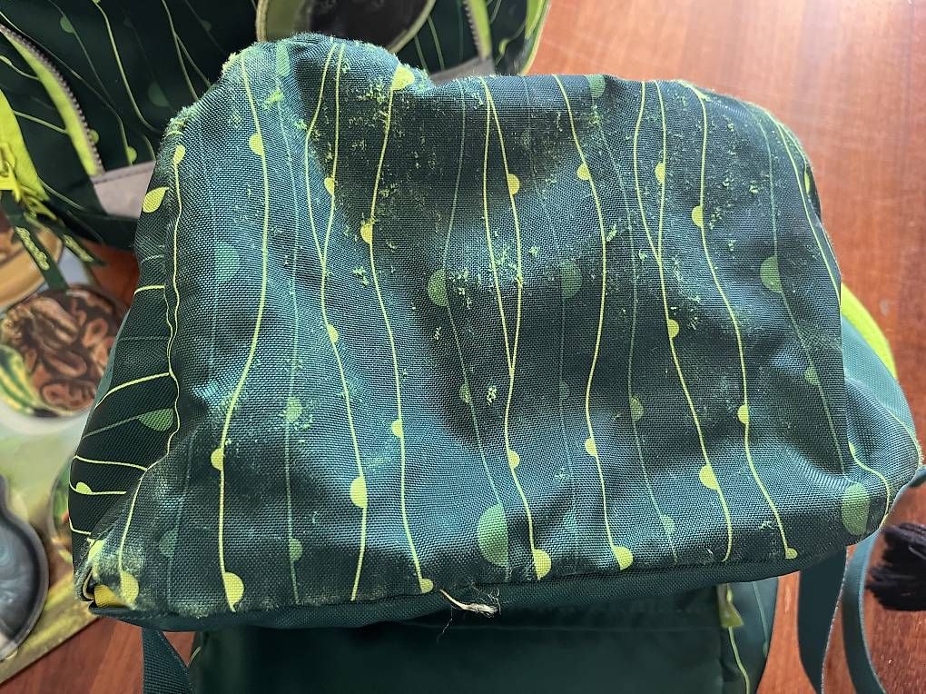 Ergobag Borse & Zaini: Schulthek inkl. Etui und Turntasche - Ergobag – Usato da Emmenbrücke venduto da sida22 1