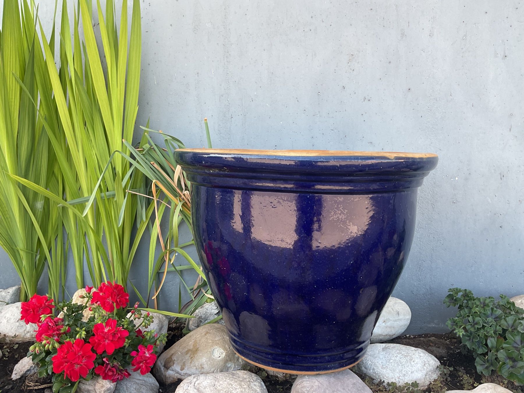Pots de fleurs: Pot de fleurs terracotta – D'occasion à Neuchâtel par sta_7qfy 2