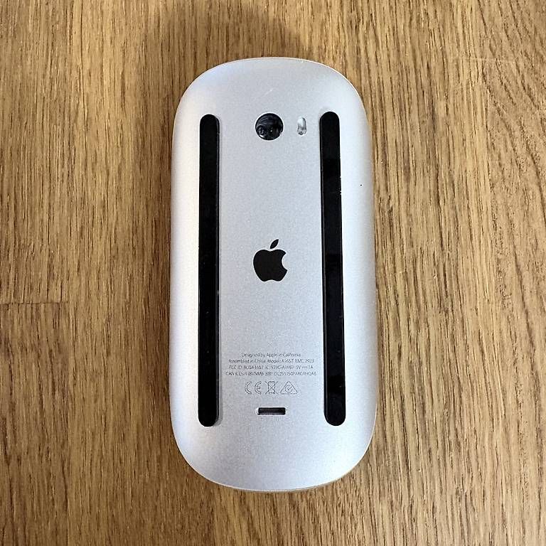 Mouse: Apple Magic Mouse – Usato da Bern venduto da Kmm 1