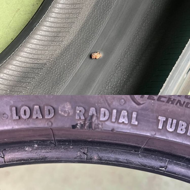 Pneumatici & Ruote complete: 275/30R20 97Y General AltiMax ONE S – Usato da Füllinsdorf venduto da fel_d8d2 5