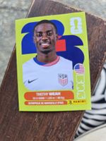 Panini USA 12 Timothy Weah