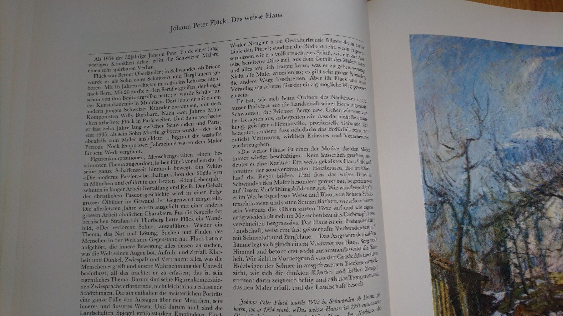 Libri: Schweizer Maler 16. - 20. Jahrhundert – Usato da Luzern venduto da Einh0rn 2