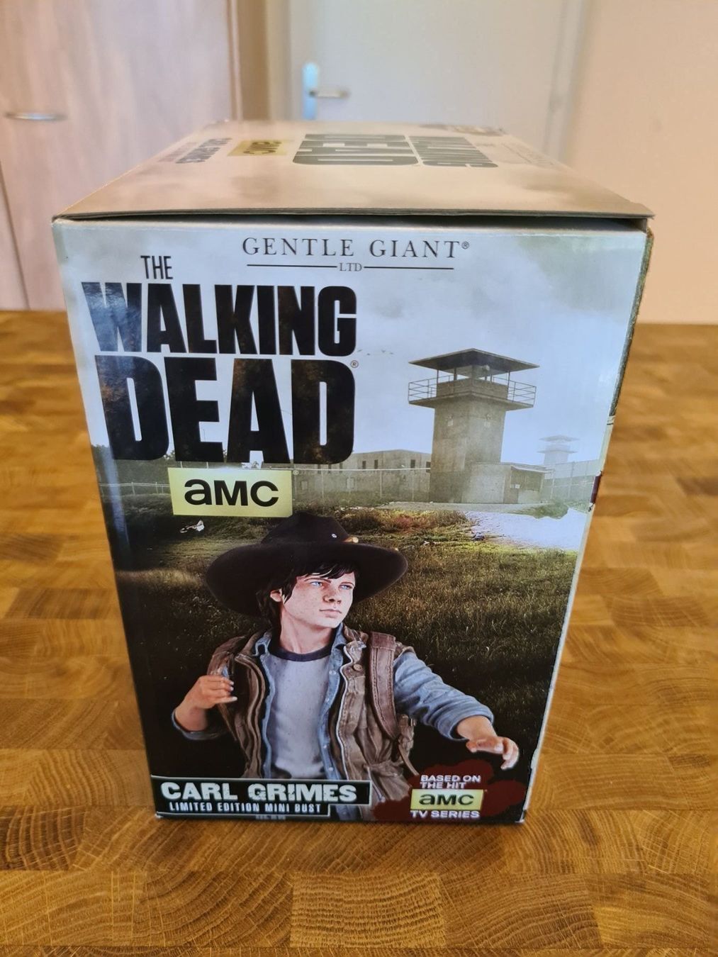 Gentle Giant Statuette: Walking Dead Carl Grimes Bust Limité – Nuovo e nell'imballaggio originale da Broc venduto da jcr_5cqy 2