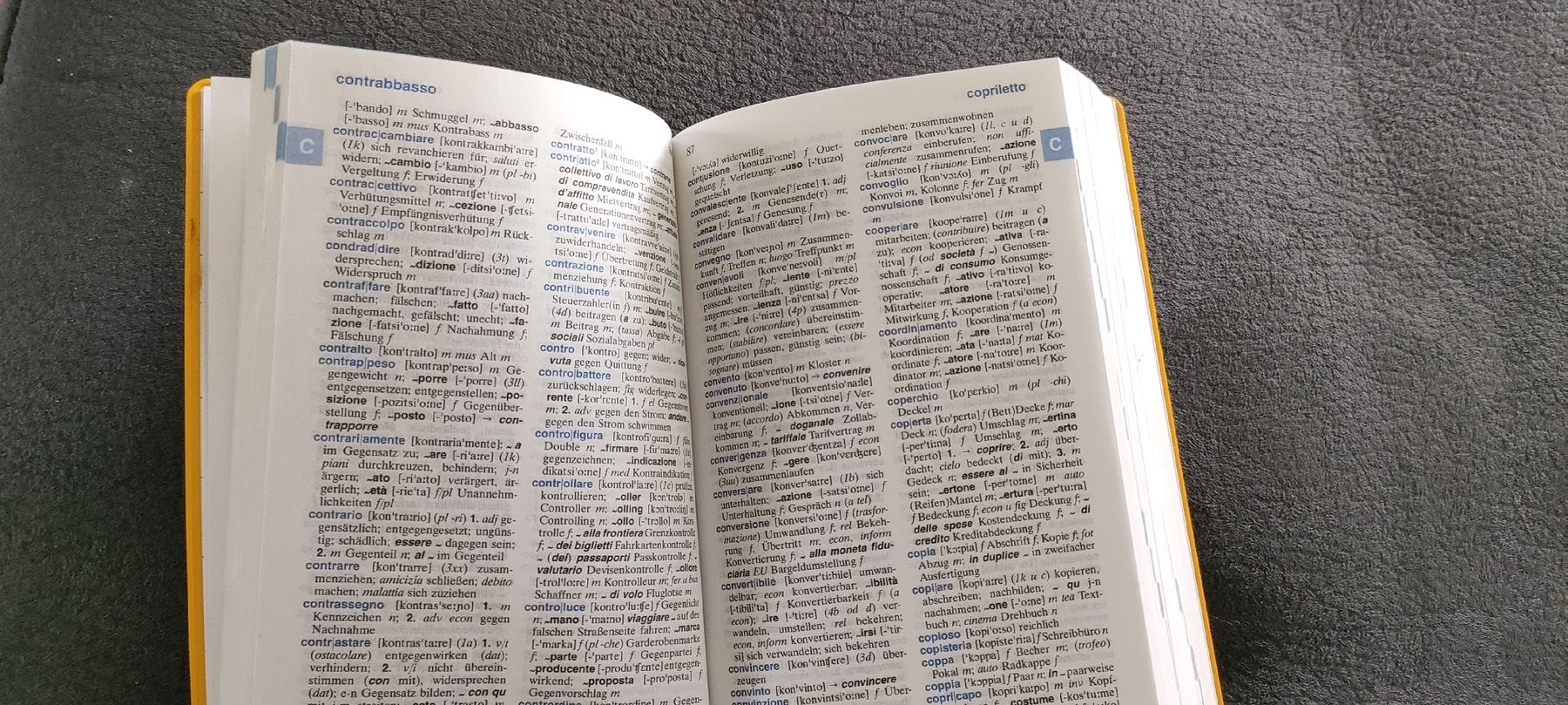 Bücher: Italienisch-Deutsch Wörterbuch – Gebraucht aus Muri AG von Suiphi 2