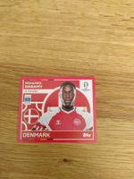 🤩 DEN 15 - Topps Euro 2024 Sticker