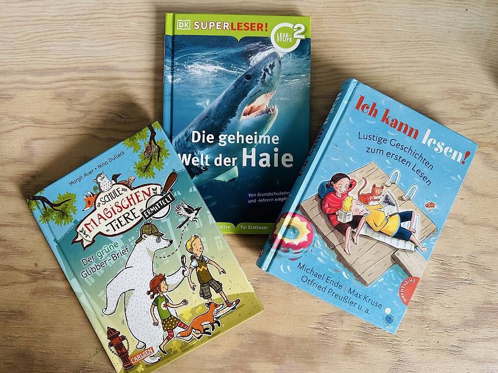 Libri: 3 Erstleser Kinderbücher – Usato da Luzern venduto da Janine192