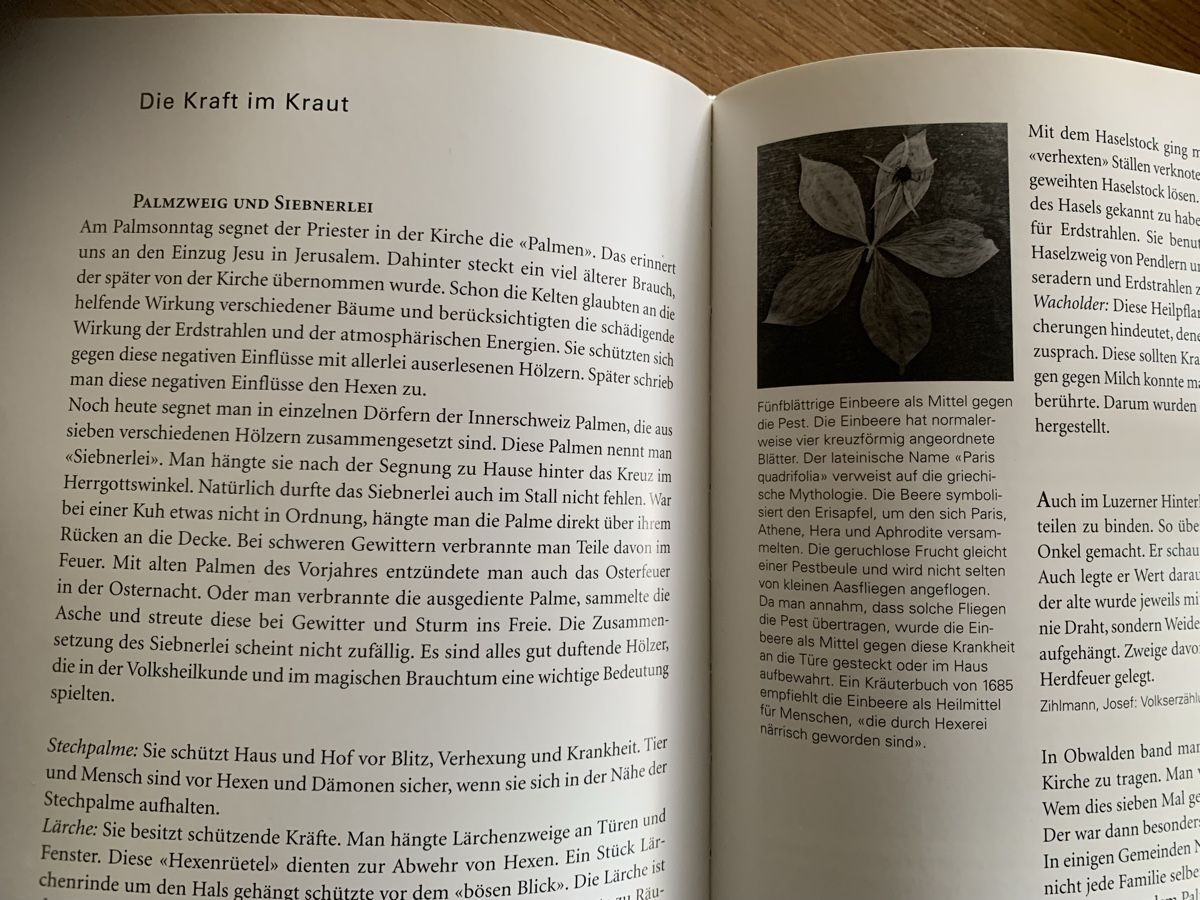 Libri: Geister, Bann- und Herrgottswinkel – Usato da Uster venduto da Flummi 3