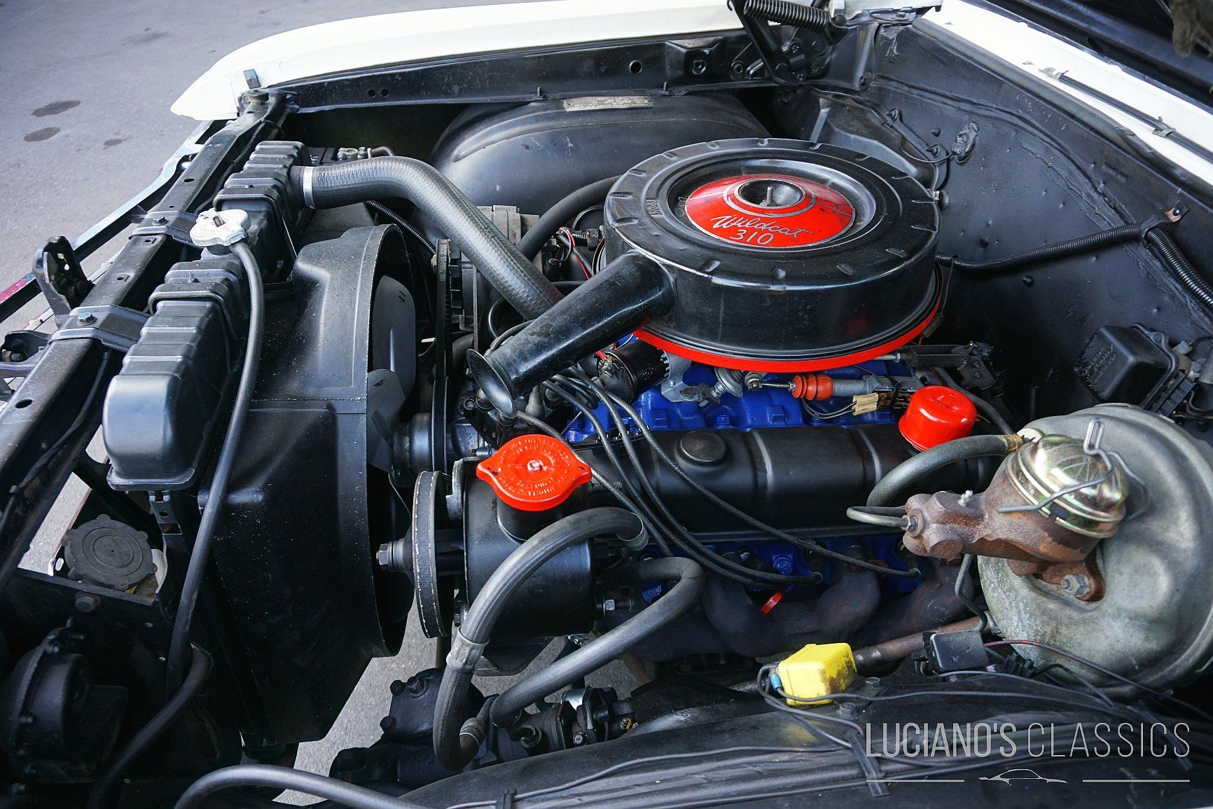 Buick Automobili: 1965 Buick Skylark Convertible – Usato da Grosswangen venduto da LUNI_Classic_Cars 9