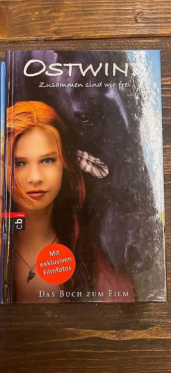 Libri: 3 Mädchen-Bücher Ostwind – Usato da Hasliberg Hohfluh venduto da Bambi6083 3