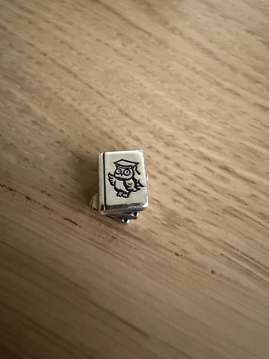 Pandora Bracciali & Braccialetti: Pandora Charm Study – Usato da Zollikofen venduto da liindaaa