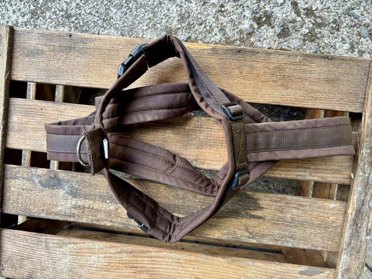 Anny X Leine & Halsband: Anny x Brustgeschirr – Gebraucht aus Gündisau von yuma06 3