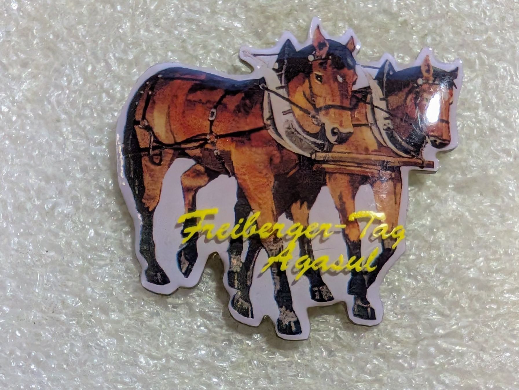 Placchette & Badge: Ansteckpin 217: Freiberger Tag – Usato da Oppligen venduto da Pin-Fall-Shop