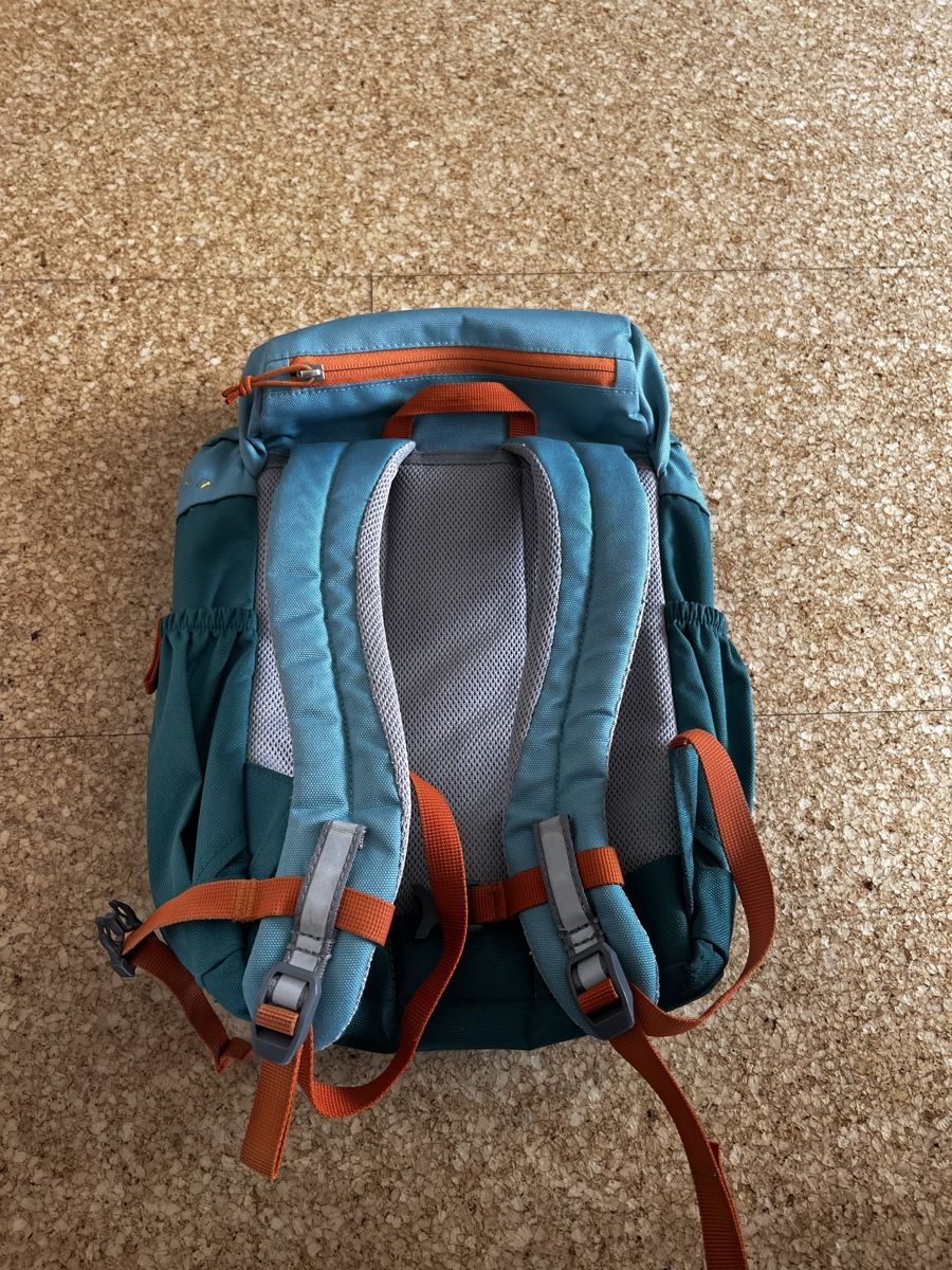 Deuter Borse & Zaini: Deuter Kinderrucksack "Butterfly" – Usato da Schönengrund venduto da Hamm1 1