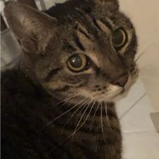 Profile image of Muuder