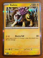 Pokemon Raikou Holo (Versand gratis)