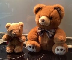 Teddy Bären Spielzeug *1