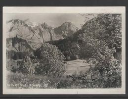 WILDHAUS , SCHAFBERG  1938  (L
