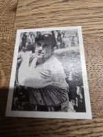Baseball Karte LArry (YOGI)BERRA