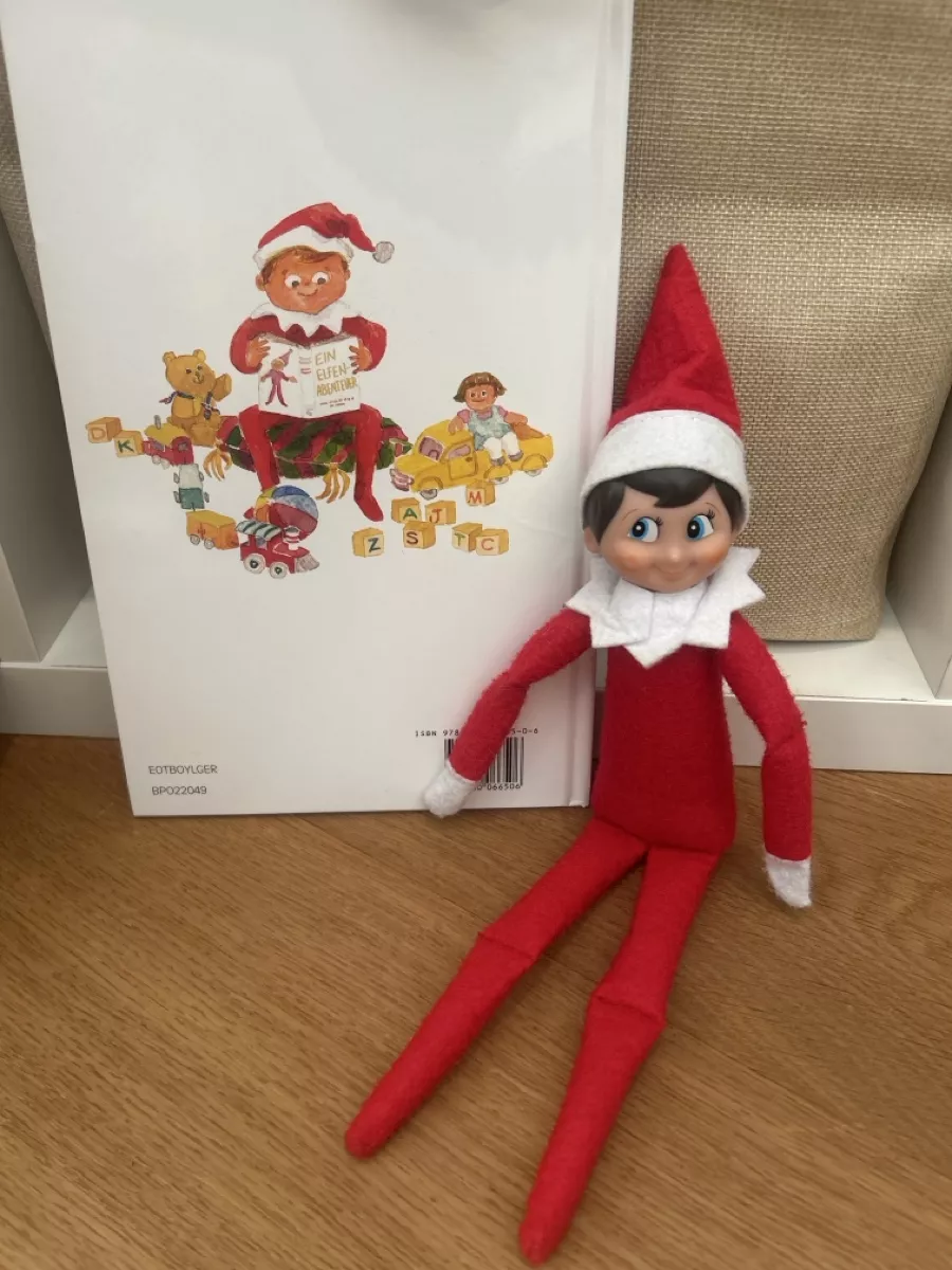 Libri: Elf on the Self – Usato da Matzendorf venduto da Fla5 1