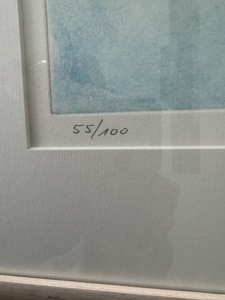 Grafica & Litografie: Silke Glättli, Lithographie. Nr 55 v. 100 – Usato da Safenwil venduto da Corahund 4