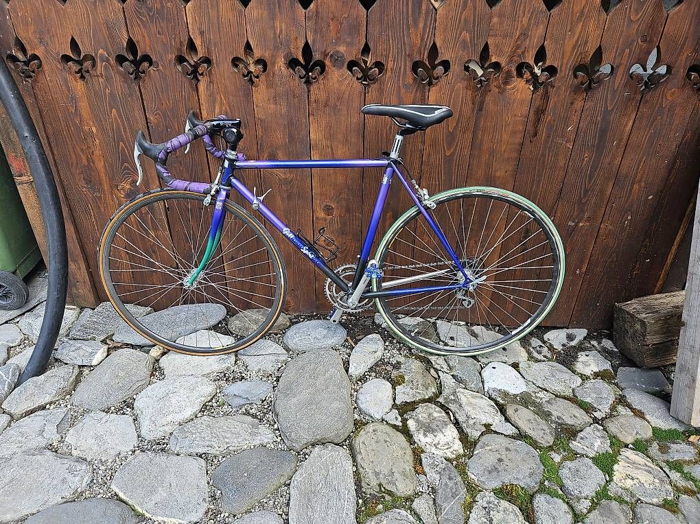 Biciclette: Rennvelo  – Usato da Cazis venduto da Morrisb 4