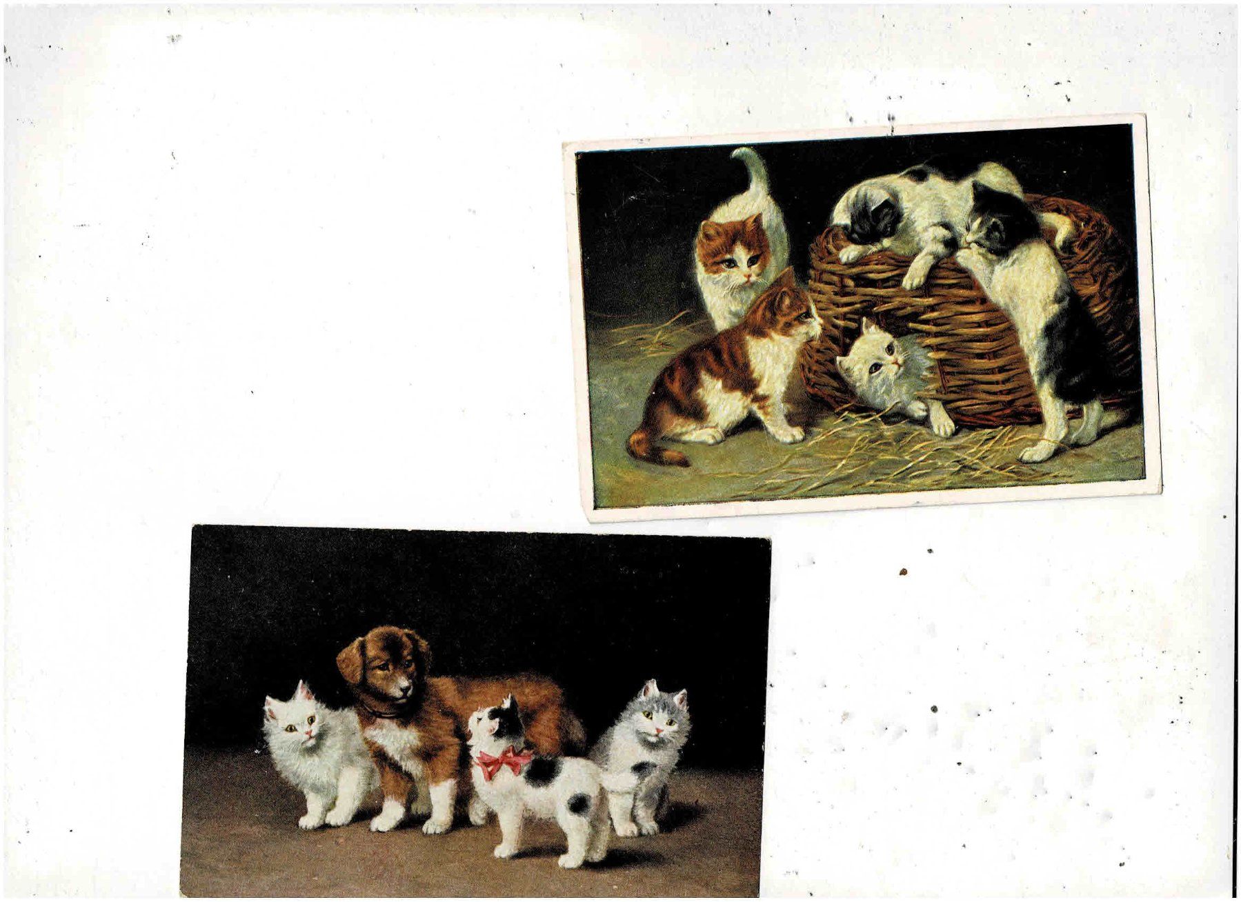 Cartes postales: 2 alte Katzenkarten 1929 – D'occasion à Sulz AG par Oberdanne8