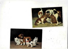 2 alte Katzenkarten 1929
