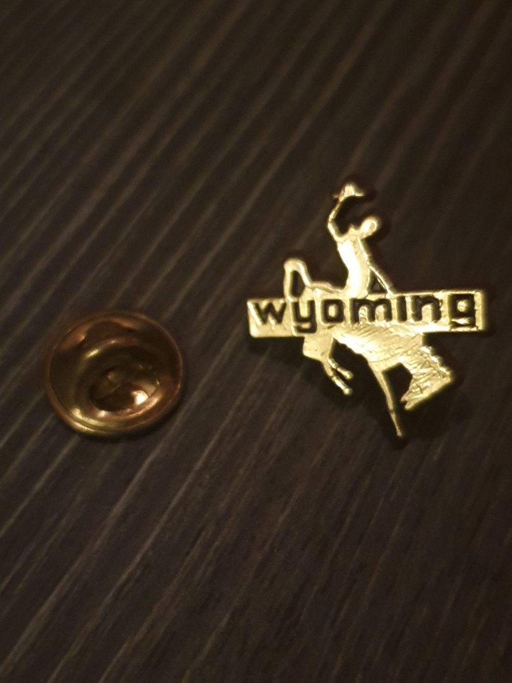 Placchette & Badge: Pin Wyoming – Usato da Thun venduto da Kissthis