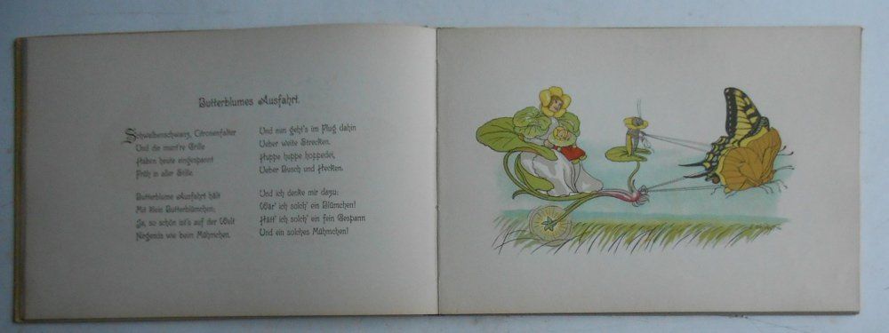 Bücher: Kreidolf. Blumen - Märchen. – Gebraucht aus Basel von Domba 5