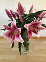 Wunderschöne design Glasvase 35cm