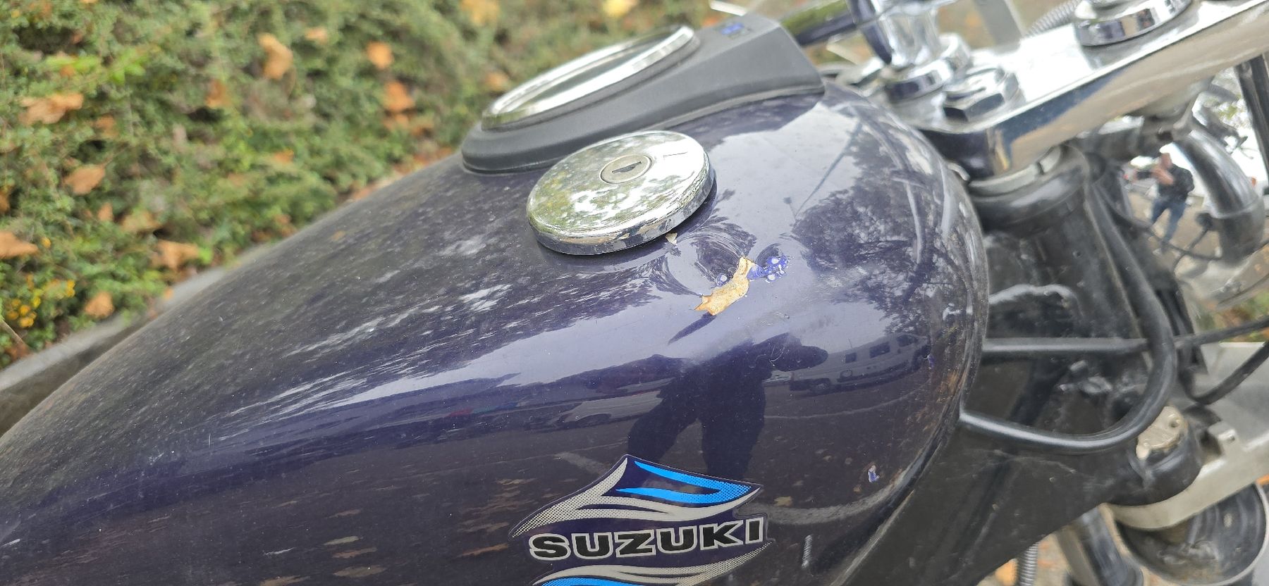 Suzuki Chopper: Suzuki LS650 Savage – Defekt aus Dachsen von Caddy94 9
