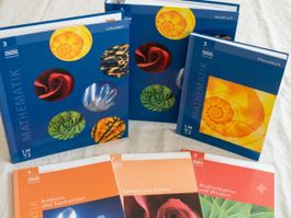 LMVZ Mathematik 3 Primarstufe (Handbuch, Lösungen usw.)