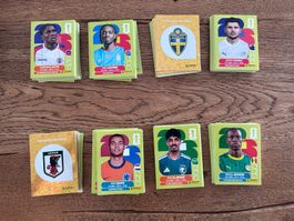 Vignettes PANINI